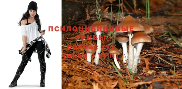 каннабис Аркадак