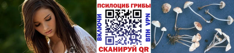 MEGA зеркало Чайковский Псилоцибиновые грибы MAGIC MUSHROOMS